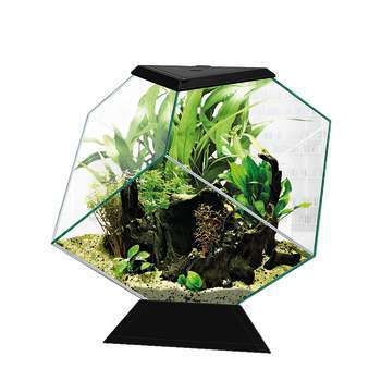 Aquarium Nexus Diamond : noir, 14L, h.36,8cm