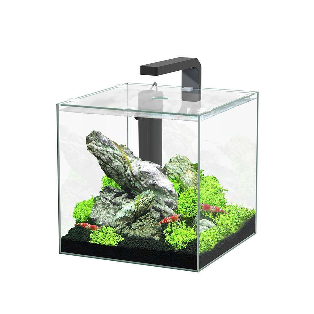 Aquarium équipé 20L