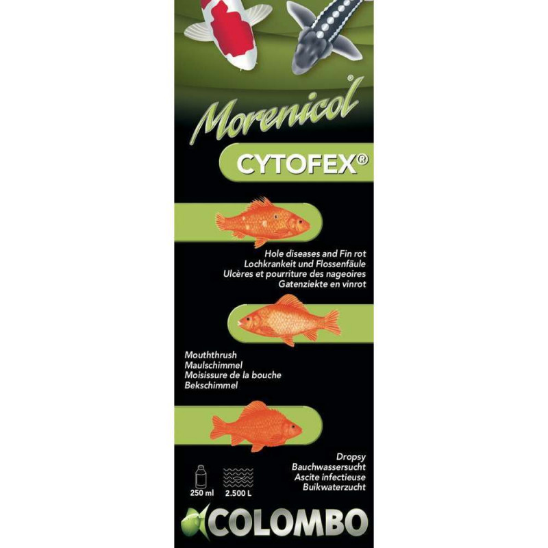 Traitement contre les infections bactériennes Cyto