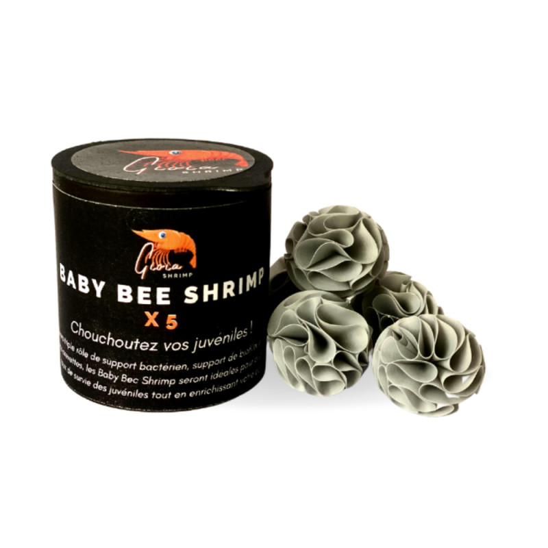 Cachettes pour jeunes crevettes Baby bee shrimp -