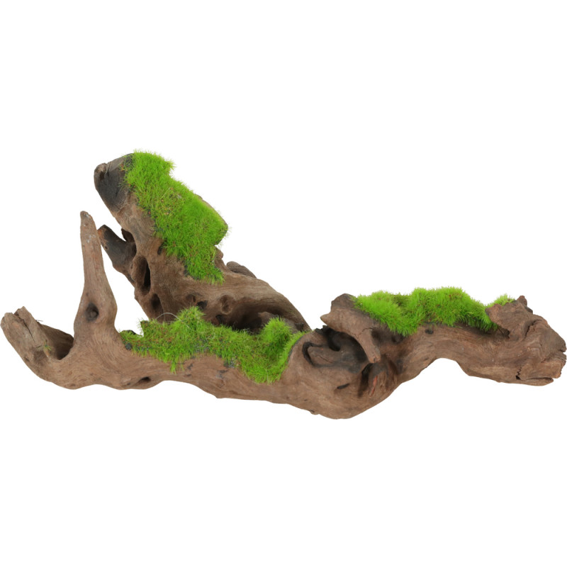 Racine de Malaisie Kipouss pour aquarium taille S