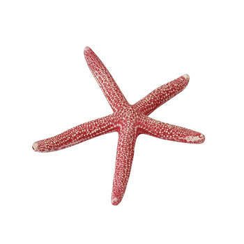 Décoration étoile de mer grande : rouge