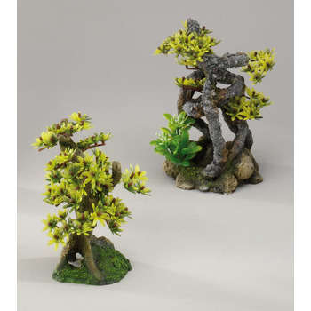 Décoration d'aquarium twist bonsai : L11xl11xH17,5