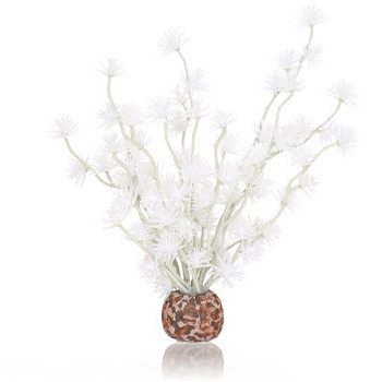 Plante Biorb: balle Bonzai, blanc