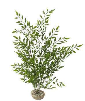 Plante artificielle pour décoration d'aquarium, Ba
