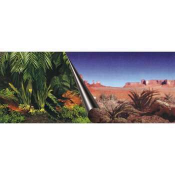 Poster fond d'aquarium Jungle & Dessert 60x30cm