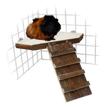 Plateforme + rampe pour cochon d'inde et gerbille