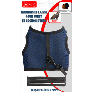 Harnais et laisse pour cochon d'inde et furet : bl