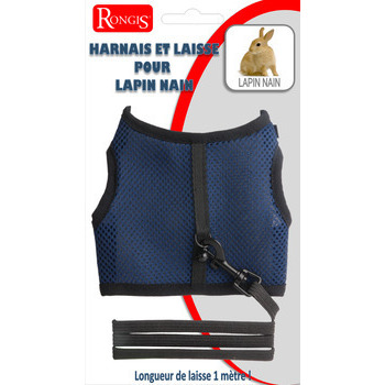 Harnais et laisse pour lapin nain : bleu Laisse de