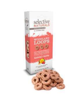 Friandise naturelle pour cochon d'inde : pissentit