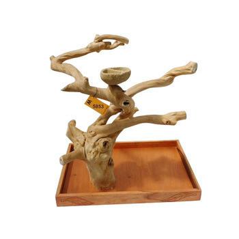 Arbre Java Medium