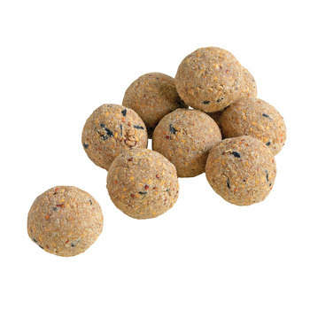 Boules de graisse pour oiseaux du jardin - Lot de