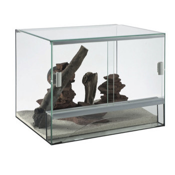 Terrarium en verre : pour reptile L 30cm