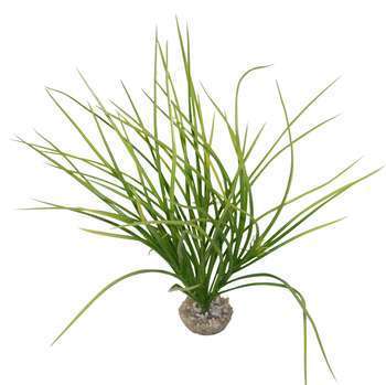 Plante artificielle : Cyperus helferi, 27cm