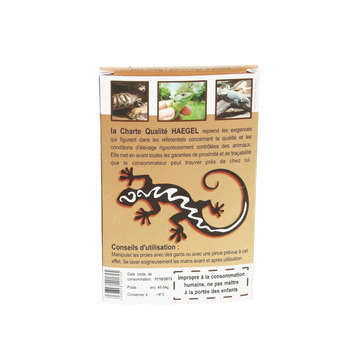 Souriceaux 1 à 2 jours, 1,5 à 2 gr (16 pièces)