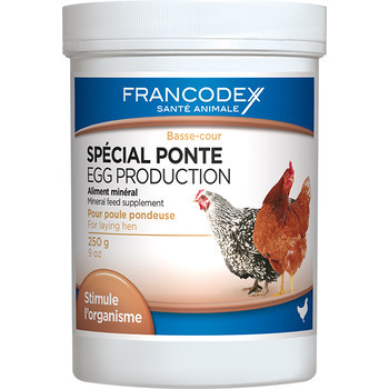 *SPECIAL PONTE POUR POULE