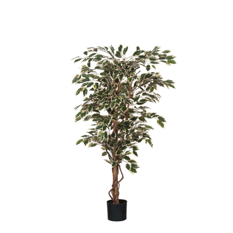 Plante artificielle en pot 'Ficus', coloris vert p