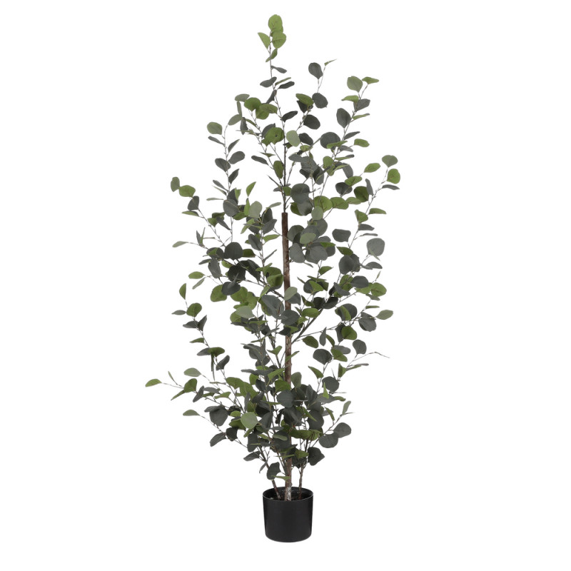 Plante artificielle en pot 'Eucalyptus', coloris v