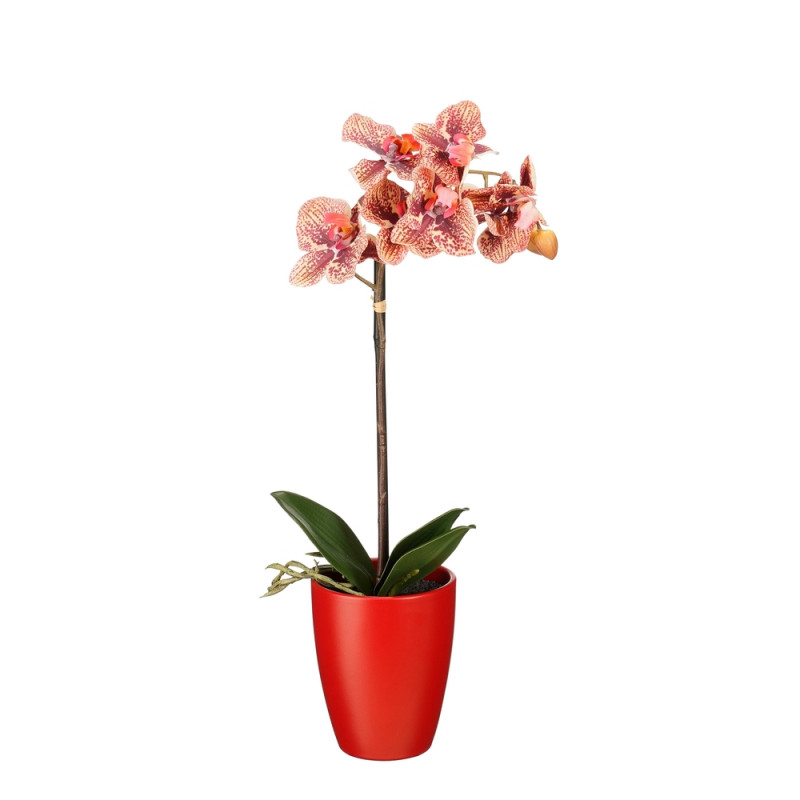 Plante artificielle en pot 'Phalaenopsis', bordeau