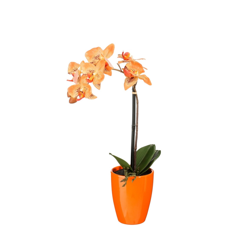 Plante artificielle en pot 'Phalaenopsis', coloris