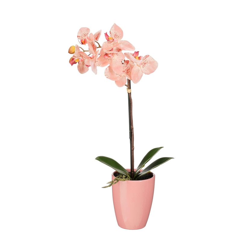Plante artificielle en pot 'Phalaenopsis', coloris
