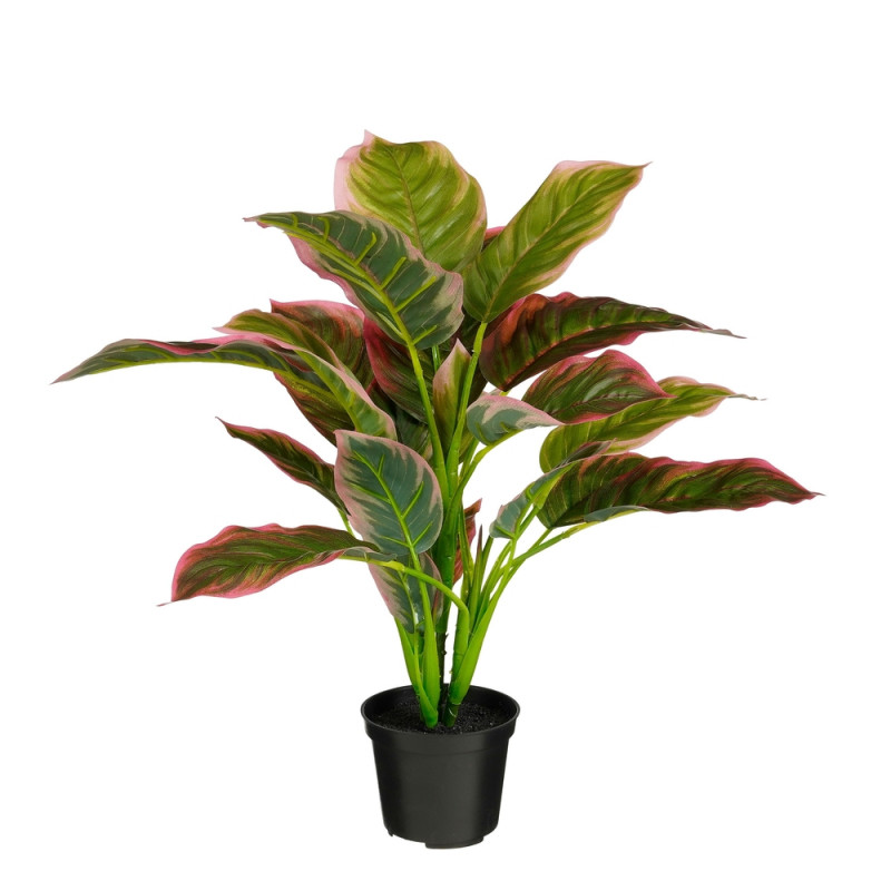 Plante artificielle - Dieffenbachia en pot rouge -