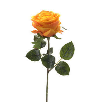Tige rose : jaune et orange, 45cm