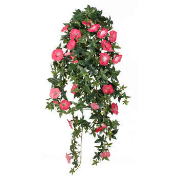 Chute de liseron, fuchsia L. 80 cm