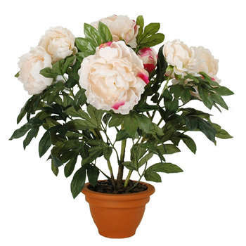 Pivoine artificielle en pot : saumon, h.50cm