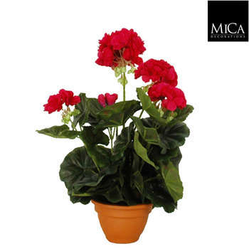 Geranium en pot Ø 11,5 cm, rose foncé Ø 23 x H. 32