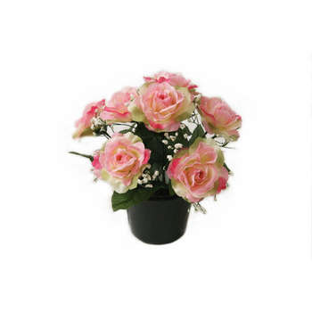 Pot de 7 roses de soie H. 25 cm (1,5kg)