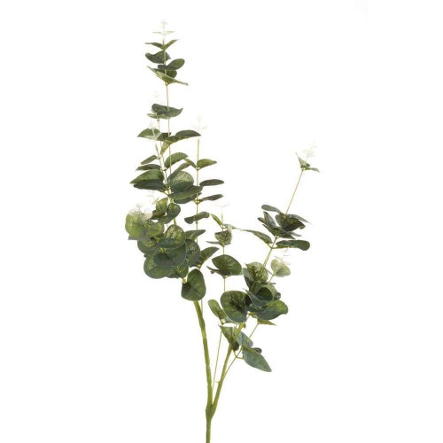 Branche d'eucalyptus artificielle - H. 75cm