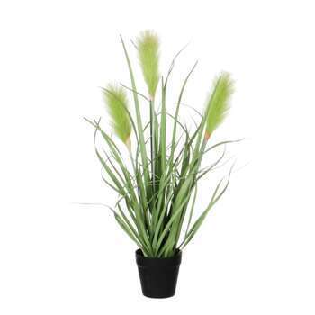 Plante en pot vert D. 10 x H. 53 cm