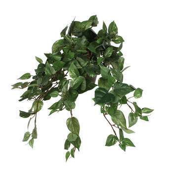 Plante artificielle : Pot scindapsus retombant D.