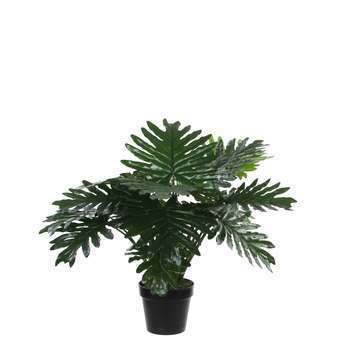 Philodendron artificiel, en pot H60cm