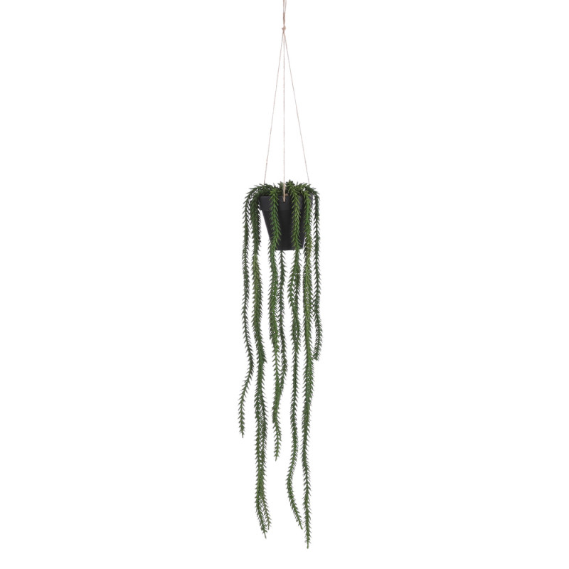 Plante artificielle suspendue 'Rhipsalis', coloris
