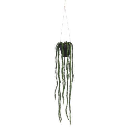 Plante artificielle suspendue 'Rhipsalis', coloris