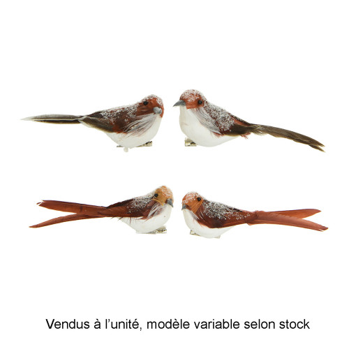 Oiseaux bruns en mousse à clipser H. 5. 50cm - Ven