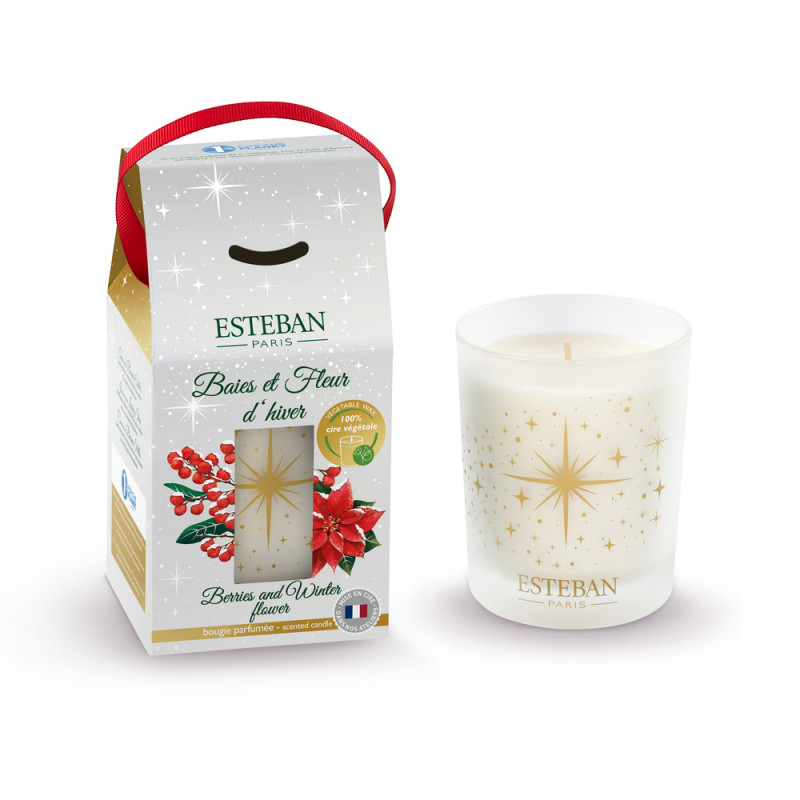 Bougie parfumée - Edition Noël - Baies et Fleur d'