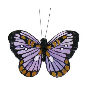 Papillons : colorés, x6