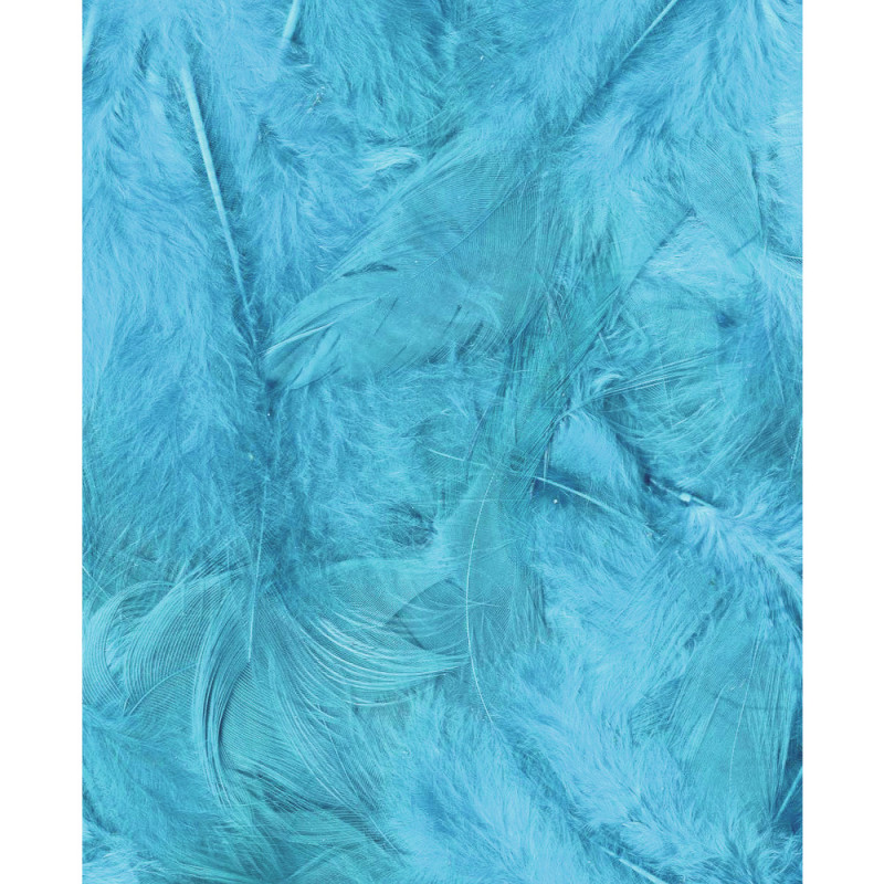 Plumes turquoise - 3g