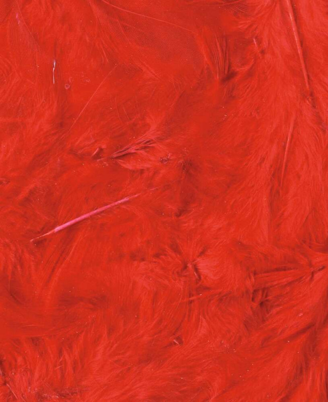 Plumes rouges - 3g
