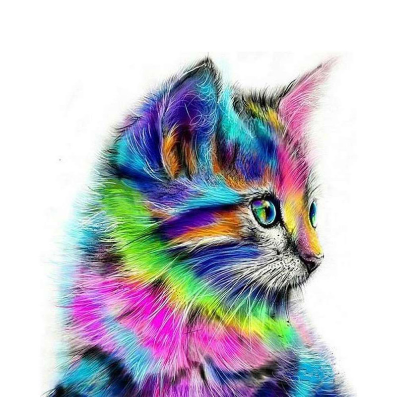 Peinture numéros art chaton coloré