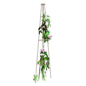 Tuteur pour plantes grimpantes, en acier H. 180 cm