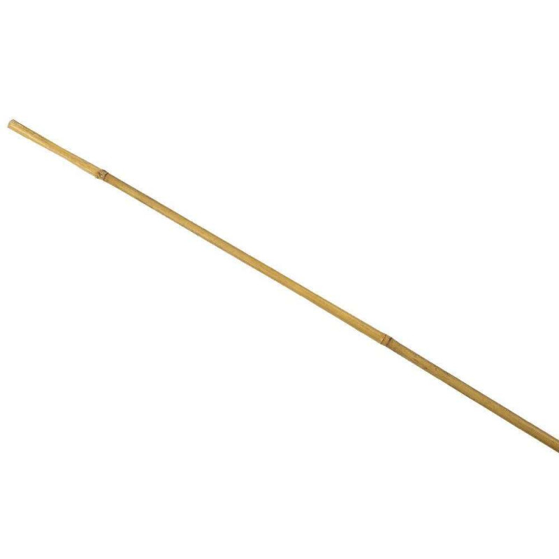 1 tuteur bambou Diam. 16/18 mm H 210 cm