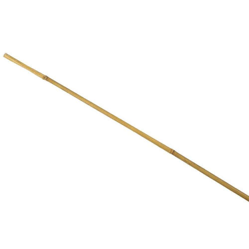 1 tuteur bambou Diam. 16/18 mm H 210 cm