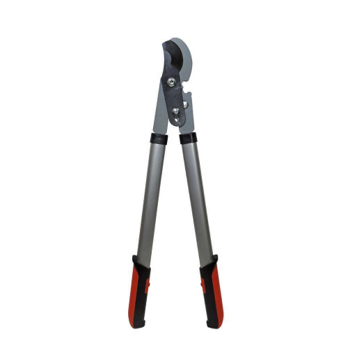 Ebrancheur Démultiplication À Crans