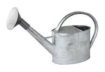 Arrosoir galvanisé de 6L - Pomme plastique