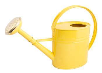 Arrosoir l Jaune Citron l Acier 4L