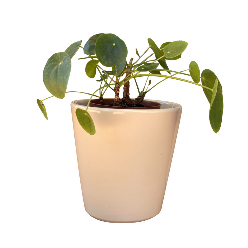 Pot Odyssée crème D18 x H18 cm